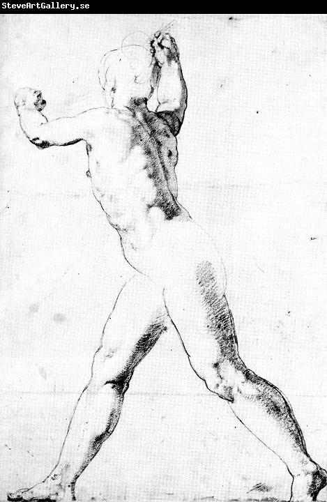 ZUCCARO  Taddeo Study of a Male Nude